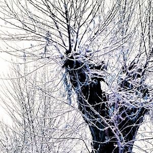 Meet your Posher, Vesta